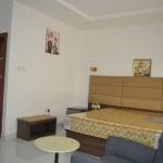 SHAPPHIRE STANDARD 101